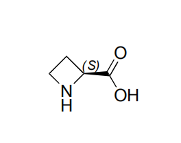 pulverförmiges luftempfindliches Herbizid (S)-(-)-2-Azetidincarbonsäure