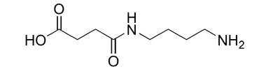 Kristall heterobifunktionelles Labor Butansäure, 4-[(4-Aminobutyl)amino]-4-oxo-