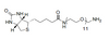 1H-Thieno[3,4-d]imidazol-4-pentanamid, N-(35-amino-3,6,9,12,15,18,21,24,27,30,33-undecaoxapentatriacont-1-yl )Hexahydro-2-oxo-