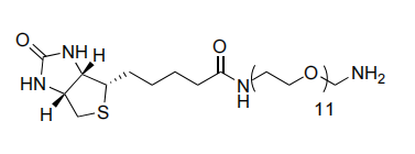 1H-Thieno[3,4-d]imidazol-4-pentanamid, N-(35-amino-3,6,9,12,15,18,21,24,27,30,33-undecaoxapentatriacont-1-yl )Hexahydro-2-oxo-