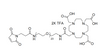 DOTA-Tris(säure)-amido-PEG23-Maleimid