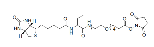 NHS-PEG-Biotinidase-resistentes Biotin
